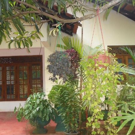 Ath Hala Safari Resort Udawalawe Exterior foto